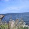 images/Schweden/Schweden 2009/IMG_4545.jpg